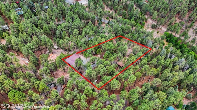 6231 S Champion Way Rd, Prescott, AZ 86303 - view of property location with property boundaries highlighted