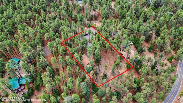 6231 S Champion Way Rd, Prescott, AZ 86303 - aerial view of property and surrounding area with property parcel outlined