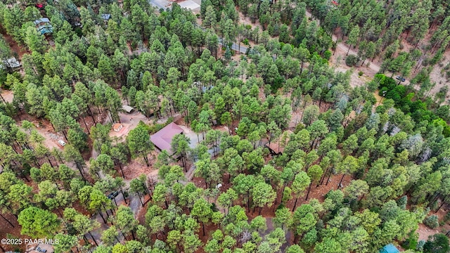 6231 S Champion Way Rd, Prescott, AZ 86303 - view of property location