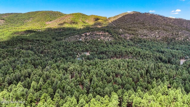 6231 S Champion Way Rd, Prescott, AZ 86303 - view of mountain backdrop with a heavily wooded area