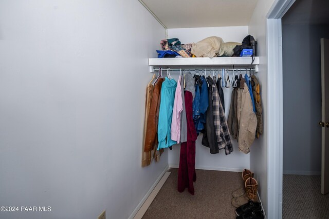 walk in closet with carpet floors