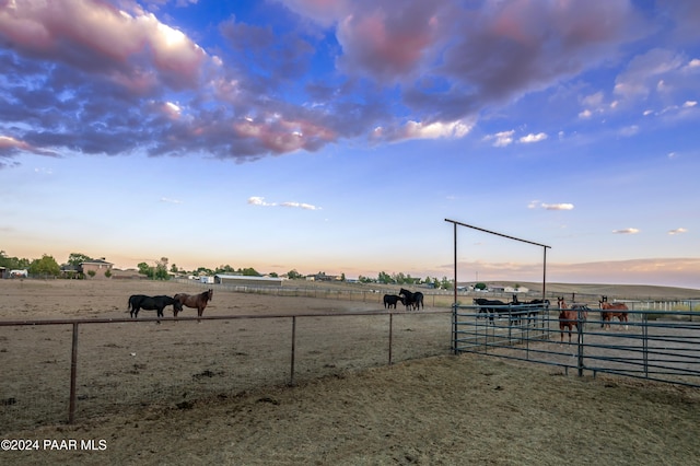 yard at dusk featuring a rural view