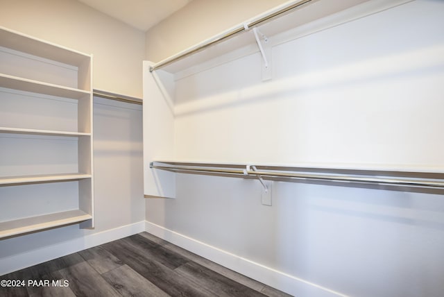 spacious closet with dark hardwood / wood-style flooring