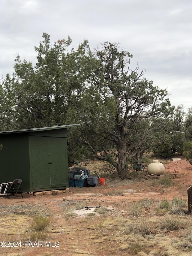 view of yard featuring a shed