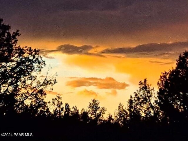 view of nature at dusk