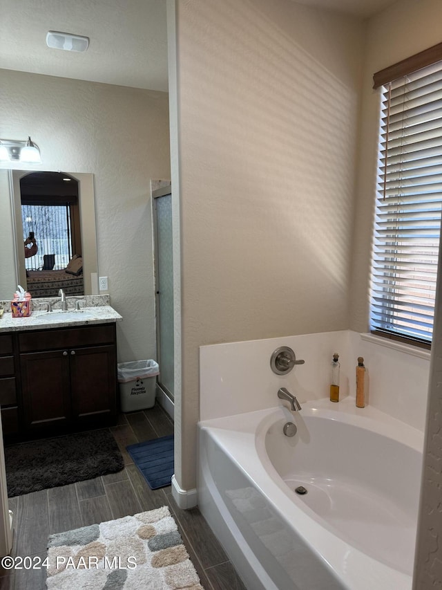 bathroom featuring vanity, plenty of natural light, and a bathing tub