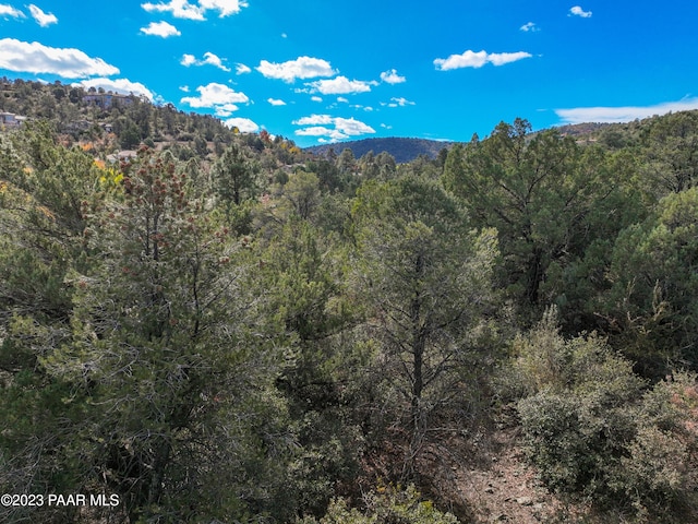 403 Sunny Cove Cir, Prescott, AZ 86303