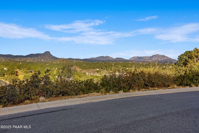 Listing photo 3 for 245 High Chaparral Loop, Prescott AZ 86303