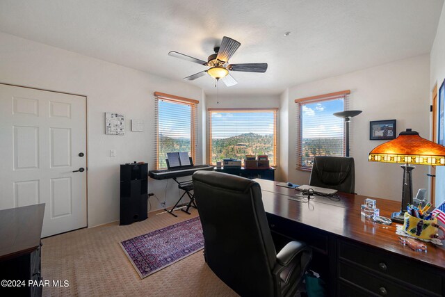 2253 Shadow Ridge Rd, Prescott, AZ 86305 - office space featuring ceiling fan and carpet floors