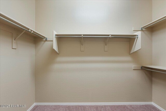 1364 Towhee Trl, Prescott, AZ 86305 - spacious closet with carpet floors