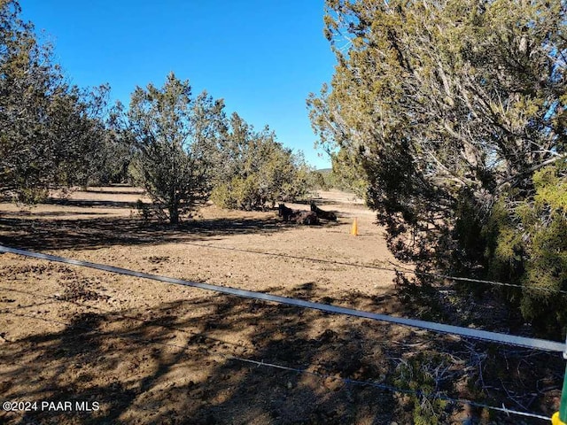 40670 W Scout Trl, Seligman, AZ 86337 - photo 17