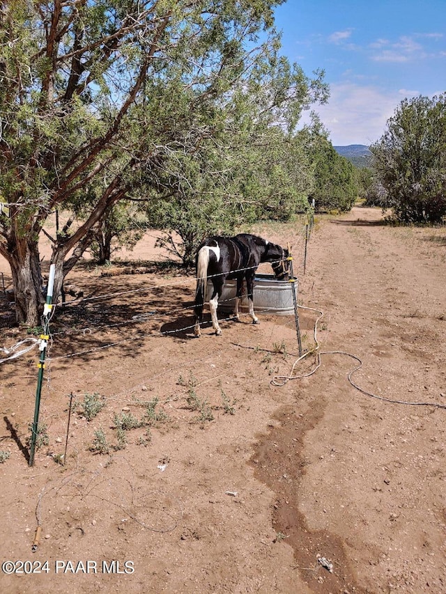 40670 W Scout Trl, Seligman, AZ 86337 - photo 3