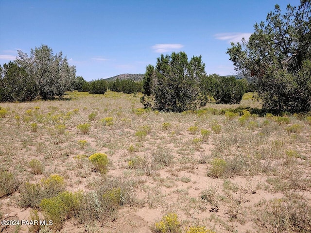 40670 W Scout Trl, Seligman, AZ 86337 - photo 1