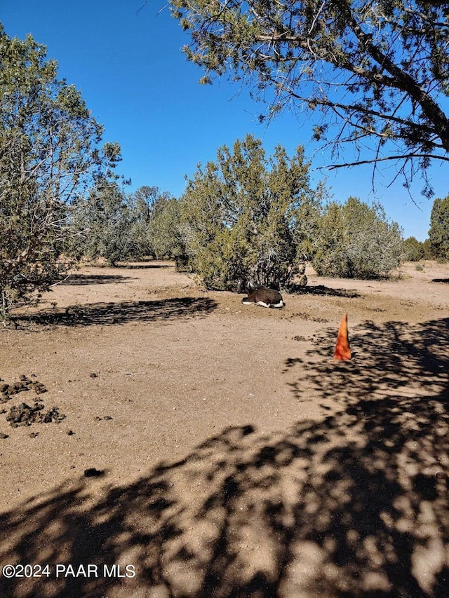 40670 W Scout Trl, Seligman, AZ 86337 - photo 12