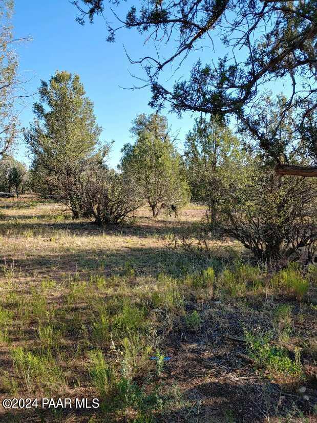 40670 W Scout Trl, Seligman, AZ 86337 - photo 13