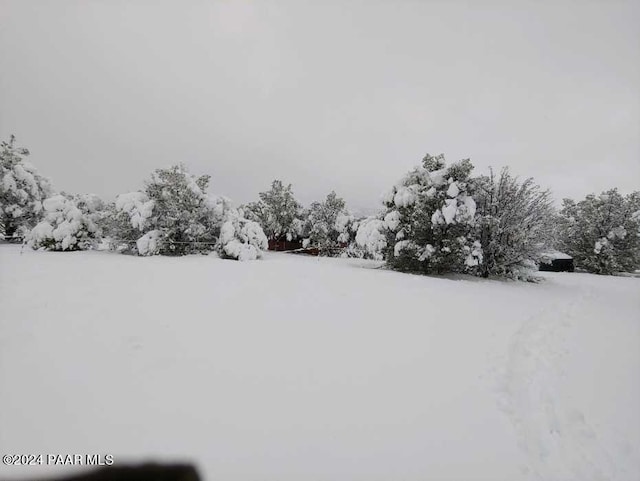 40670 W Scout Trl, Seligman, AZ 86337 - photo 15