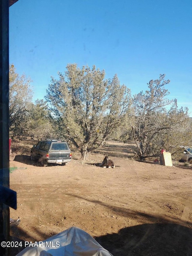 40670 W Scout Trl, Seligman, AZ 86337 - photo 7