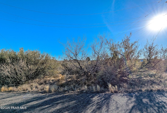 20445 E Cedar Canyon Dr, Mayer, AZ 86333 - photo 6
