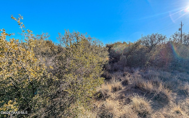 20445 E Cedar Canyon Dr, Mayer, AZ 86333 - photo 28