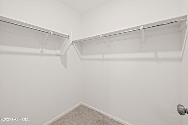 walk in closet with carpet