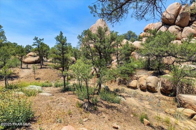 9960 Makwa Trl, Prescott, AZ 86305 - photo 1