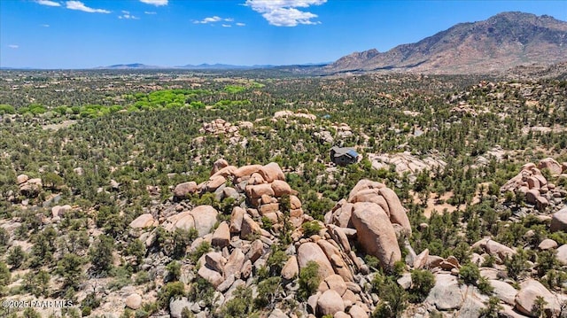 9960 Makwa Trl, Prescott, AZ 86305 - photo 16