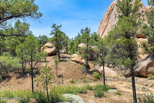 9960 Makwa Trl, Prescott, AZ 86305 - photo 3