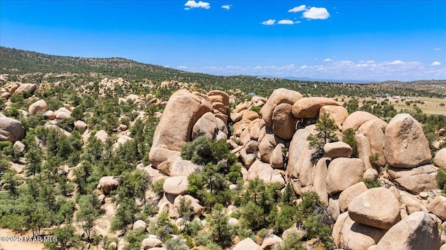 9960 Makwa Trl, Prescott, AZ 86305 - photo 9