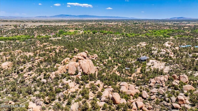 9960 Makwa Trl, Prescott, AZ 86305 - photo 17