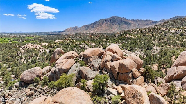 9960 Makwa Trl, Prescott, AZ 86305 - photo 32
