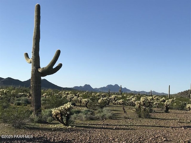 30401 W Villa Cassandra Way, Wittmann AZ, 85361 land for sale