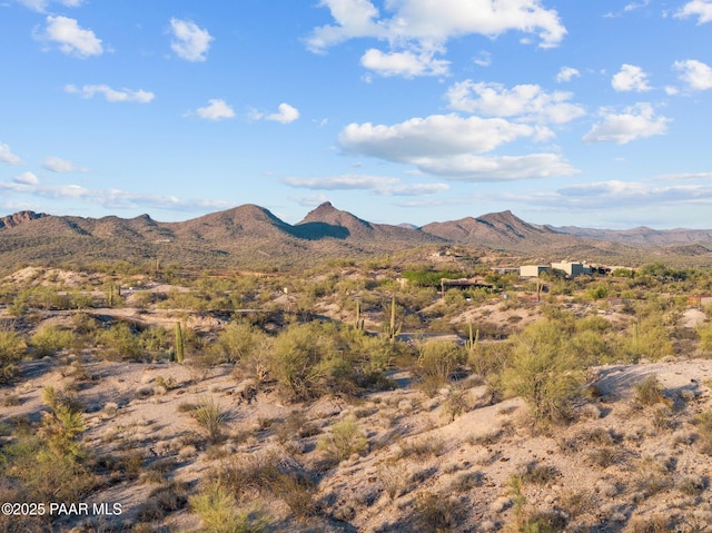 1561 Encelia Ct, Wickenburg, AZ 85390 - photo 64