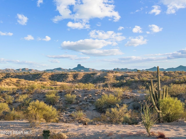 1561 Encelia Ct, Wickenburg, AZ 85390 - photo 63