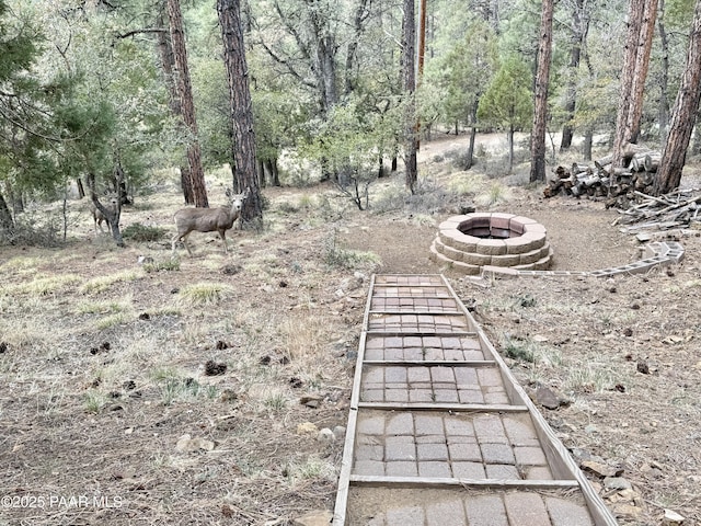 4690 S Minnie Mine Rd, Prescott, AZ 86303 - photo 39