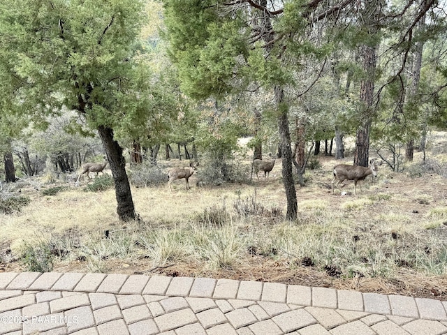 4690 S Minnie Mine Rd, Prescott, AZ 86303 - photo 38
