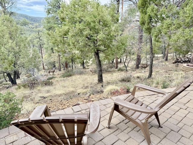 4690 S Minnie Mine Rd, Prescott, AZ 86303 - photo 37