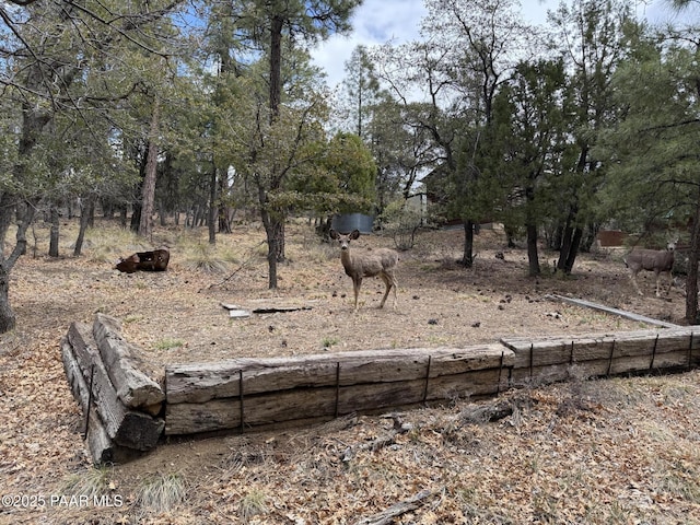4690 S Minnie Mine Rd, Prescott, AZ 86303 - photo 40
