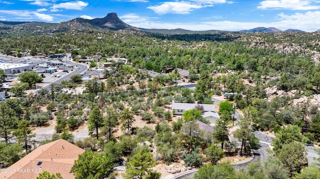 1199 Luane Cir, Prescott, AZ 86305 - photo 27