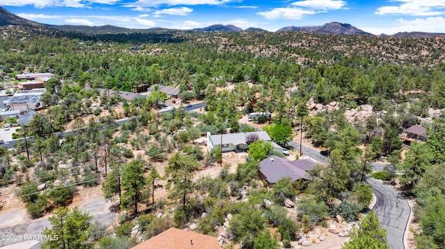 1199 Luane Cir, Prescott, AZ 86305 - photo 25