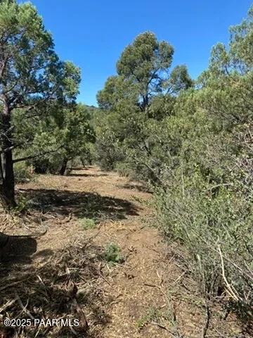 5101 W Iron Springs Rd, Prescott, AZ 86305 - photo 11