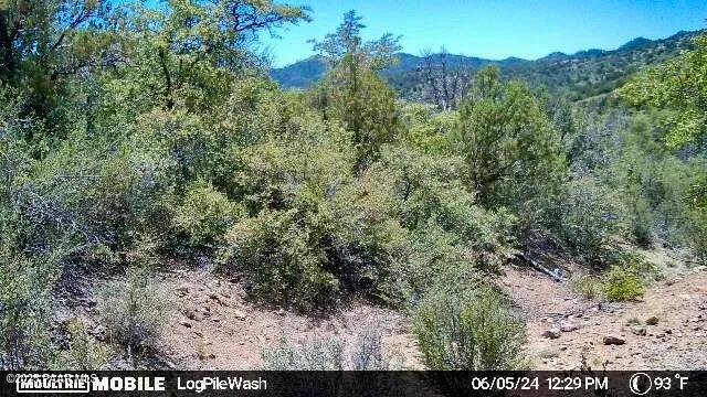 5101 W Iron Springs Rd, Prescott, AZ 86305 - photo 12