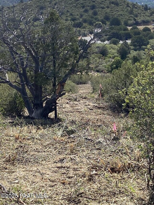5101 W Iron Springs Rd, Prescott, AZ 86305 - photo 15