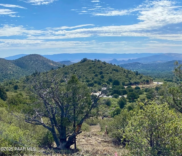 5101 W Iron Springs Rd, Prescott, AZ 86305 - photo 2