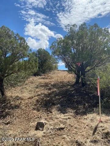 5101 W Iron Springs Rd, Prescott, AZ 86305 - photo 9