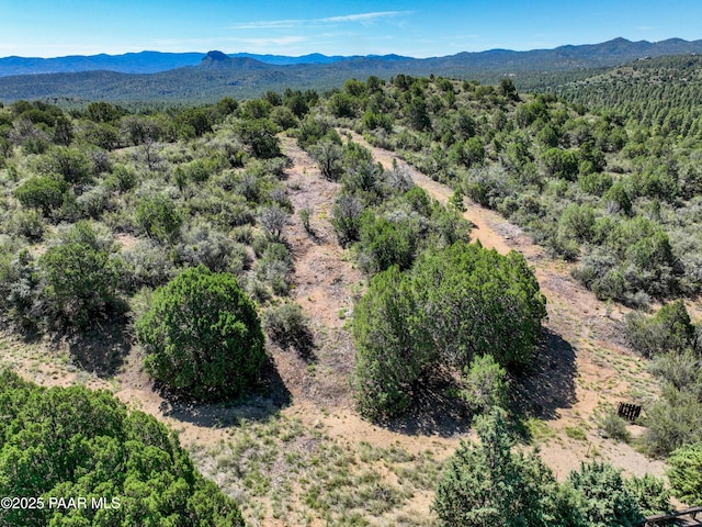 5101 W Iron Springs Rd, Prescott, AZ 86305 - photo 5