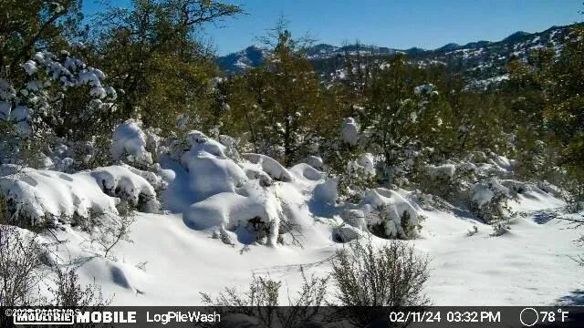 5101 W Iron Springs Rd, Prescott, AZ 86305 - photo 13