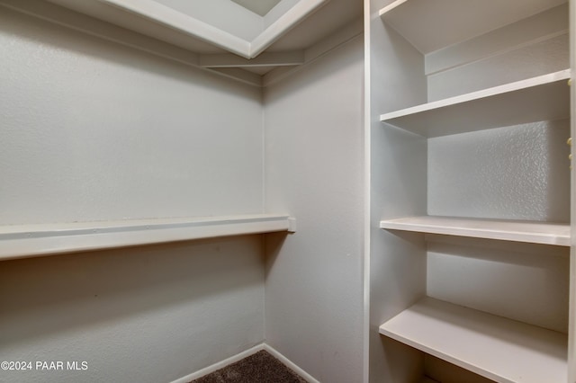walk in closet featuring carpet floors