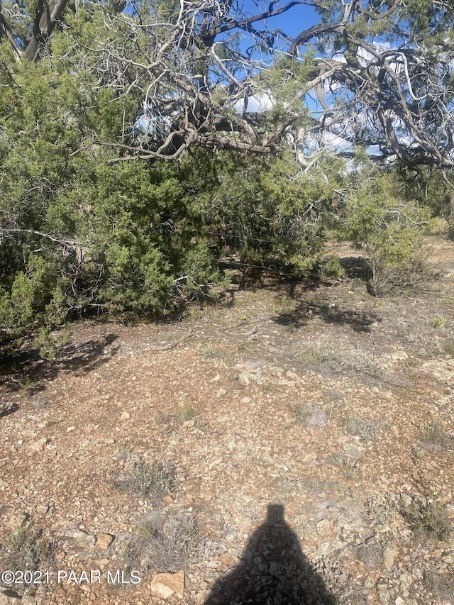 34760 La Plancha Pkwy, Seligman, AZ 86337 - photo 6