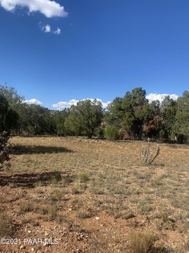 34760 La Plancha Pkwy, Seligman, AZ 86337 - photo 5