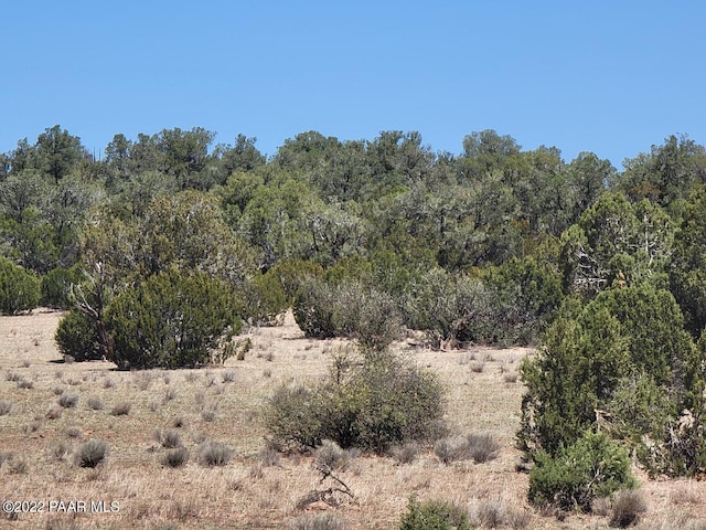 Listing photo 2 for 02 Denny 5 Rd, Seligman AZ 86337